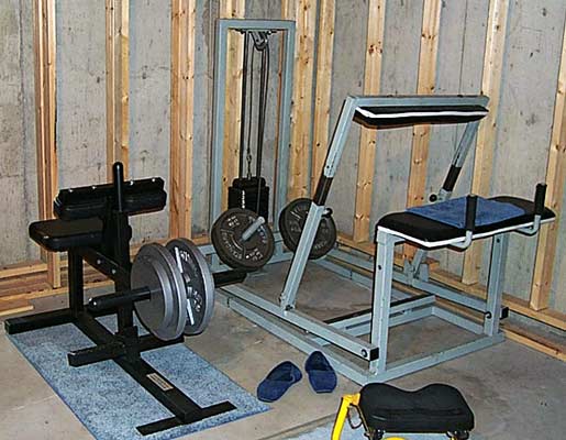 donkey calf machine and seated calf raise