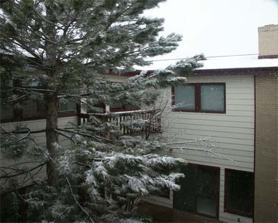 march snow in the atrium