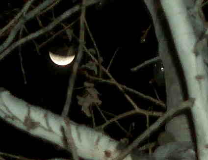 lunar eclipse in progress, seen from the courtyard