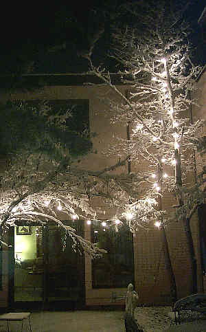 snowfall in the courtyard