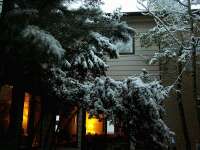 snow in the courtyard