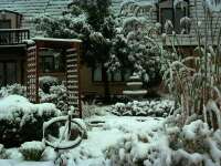 the south gardens in winter