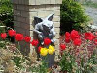 tulip gargoyle