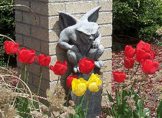 gargoyle through the tulips