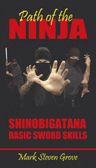 Path of the Ninja: Shinobigatana